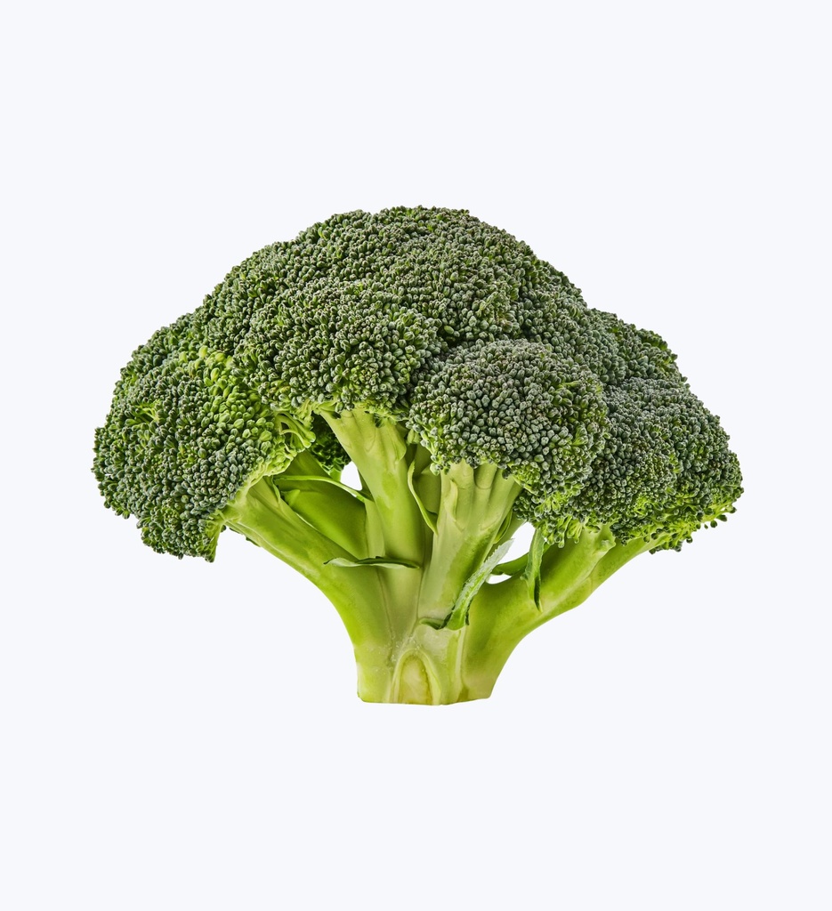 Broccoli